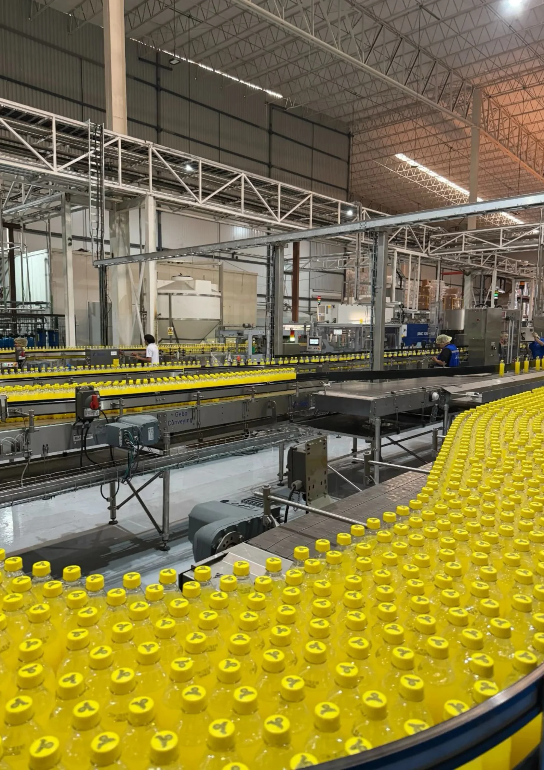 linea de produccion de bebidas saborizadas novaliv mexico